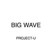 PROJECT-U