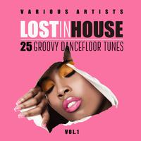 Lost in House (25 Groovy Dancefloor Tunes), Vol. 1