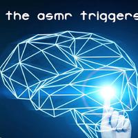 The ASMR Triggers