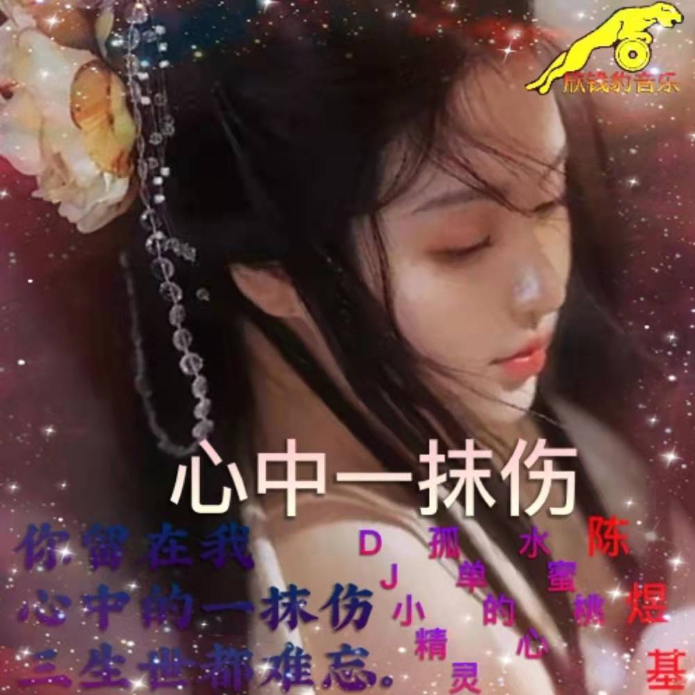 偏执的黑洞封面