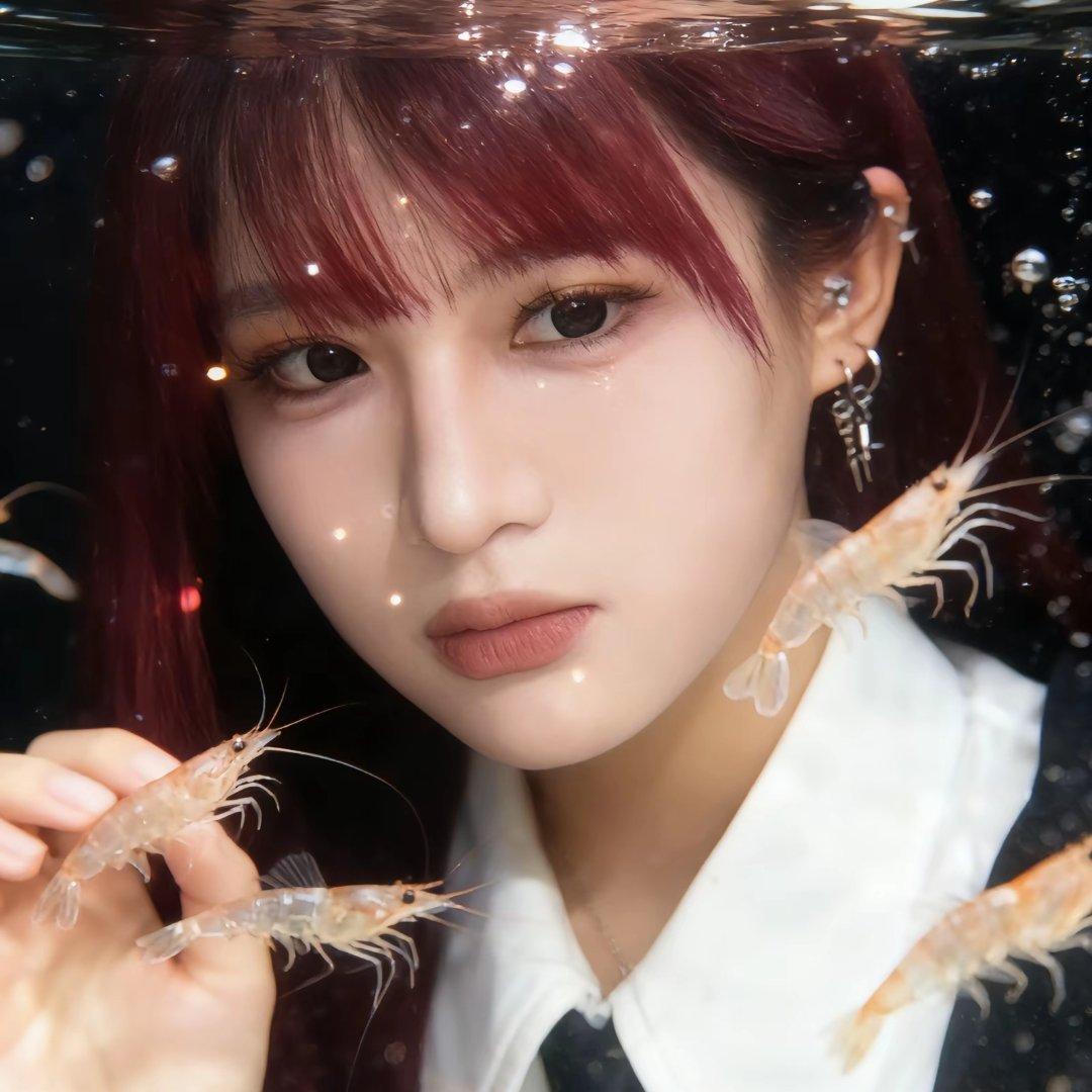 四筒小咔车牌e面