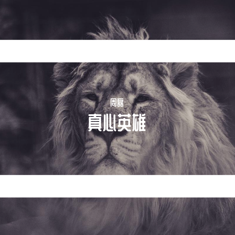 真心英雄 - 周磊封面