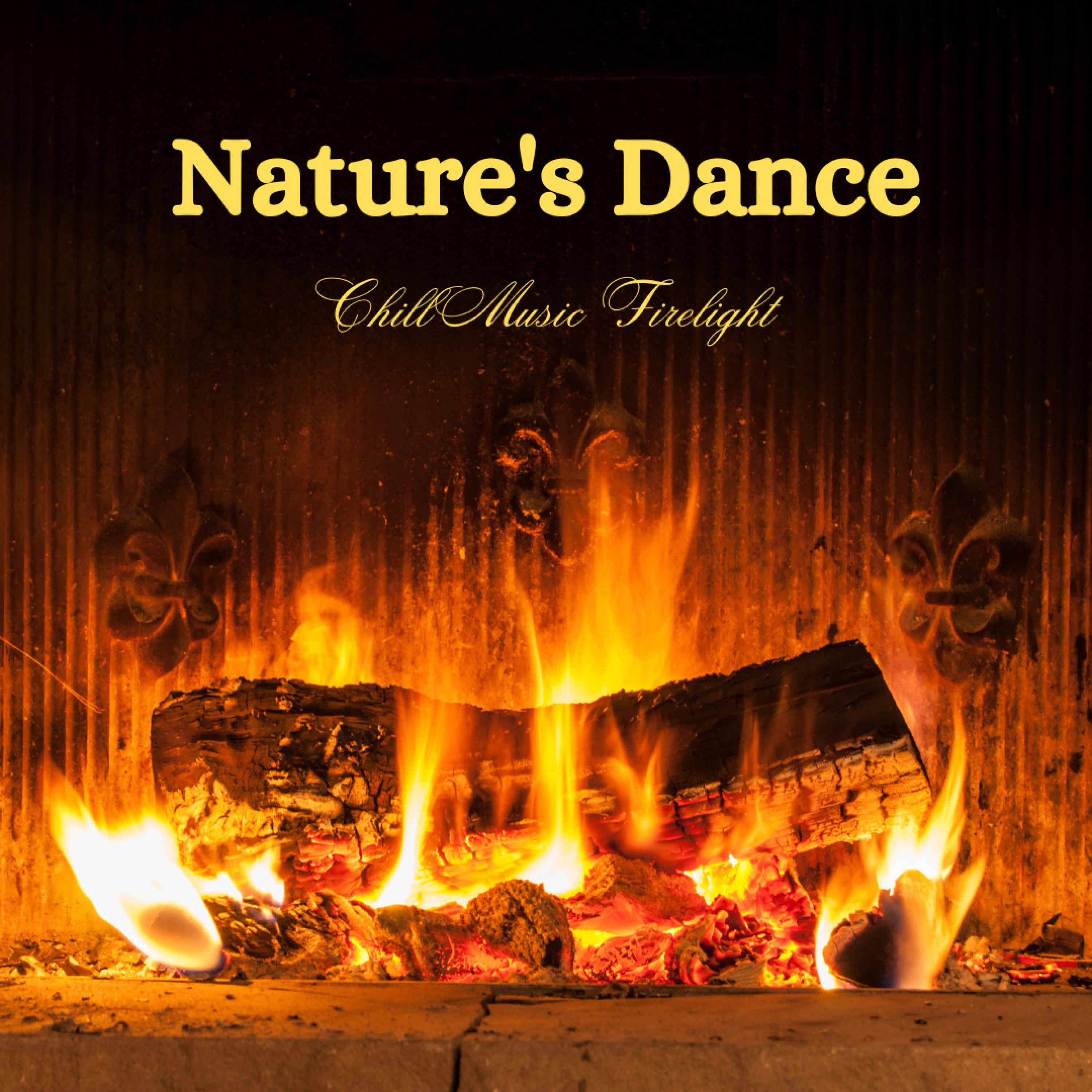 Firelight's Mystical Rhythms_Paz Sounds_Nature's Dance: Chill Music Firelight | 在线播放_Firelight's Mystical Rhythms歌词_Firelight's Mystical Rhythms下载 | 网易云音乐