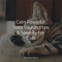 Calm Powerful Sleep Sounds | Spa & Serenity For Cats