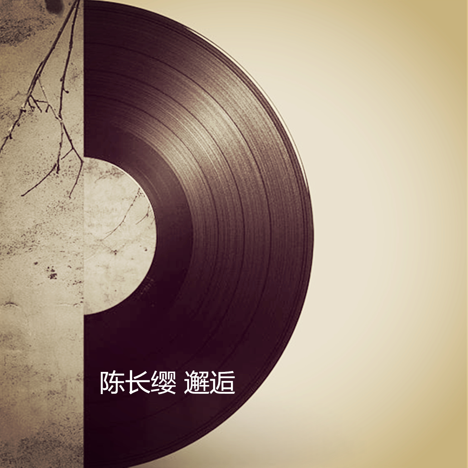 被遗弃的故乡封面