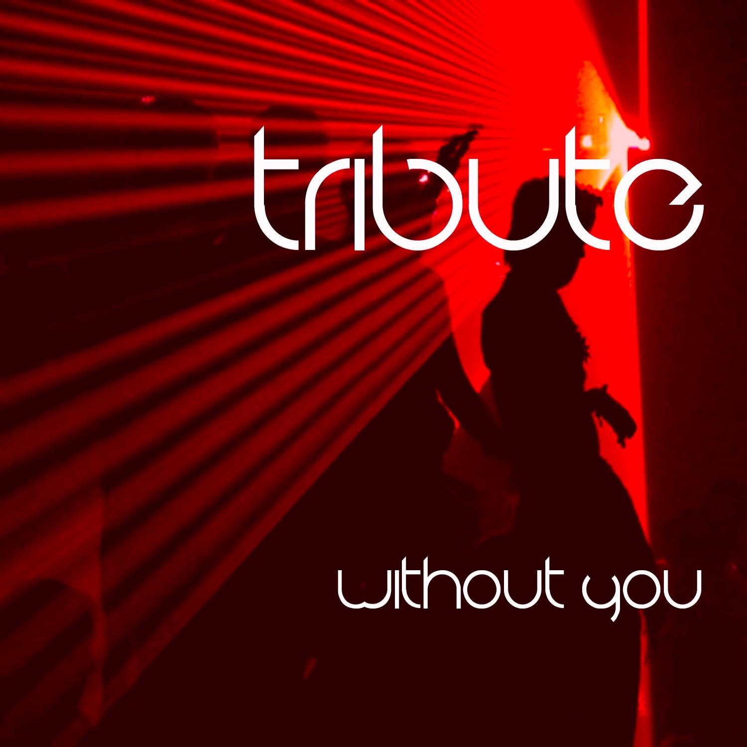 Without You (David Guetta feat. Usher Cover)