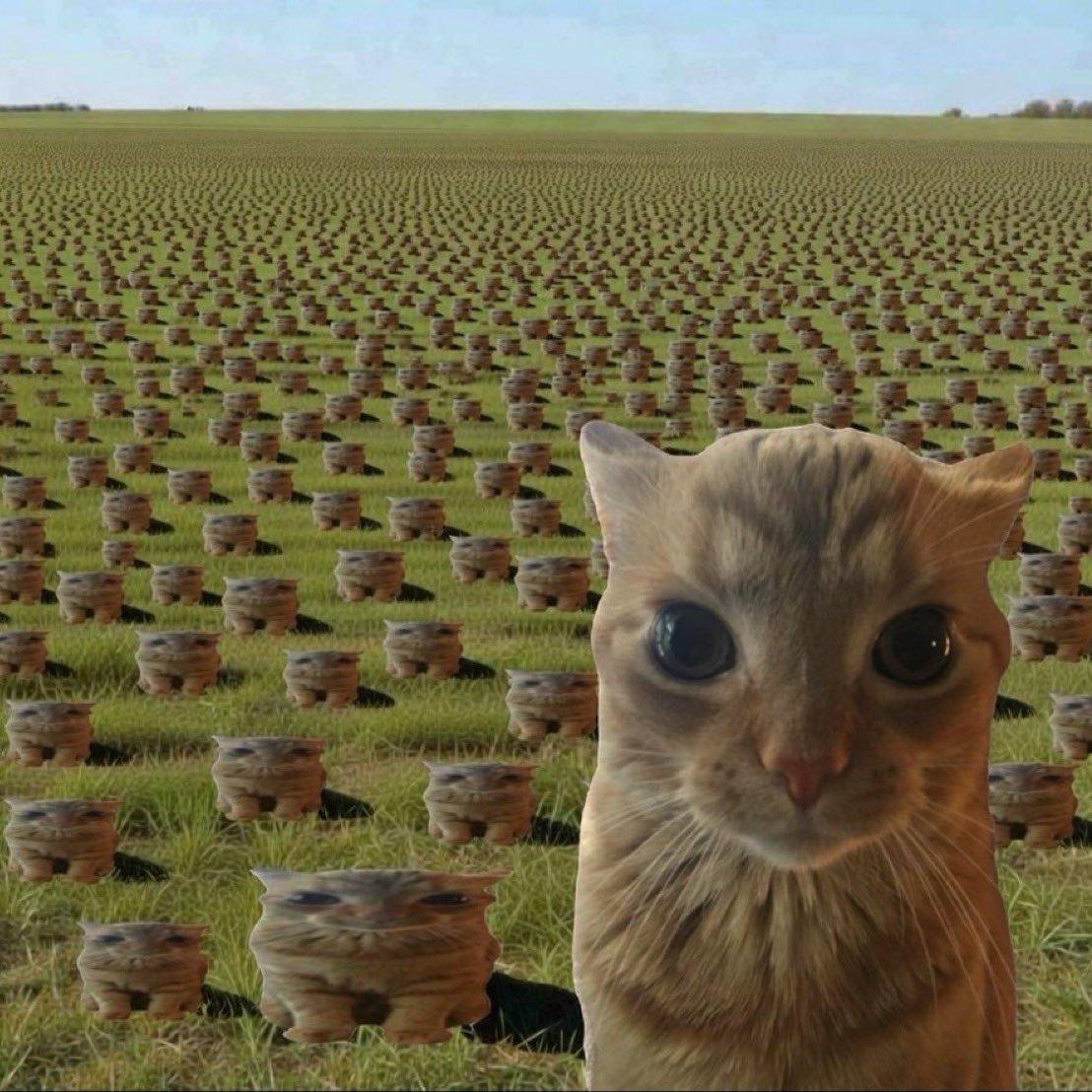 你听不懂我歌单你说你小众？