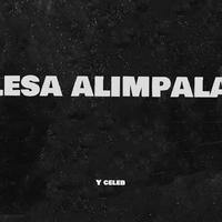 Y Celeb