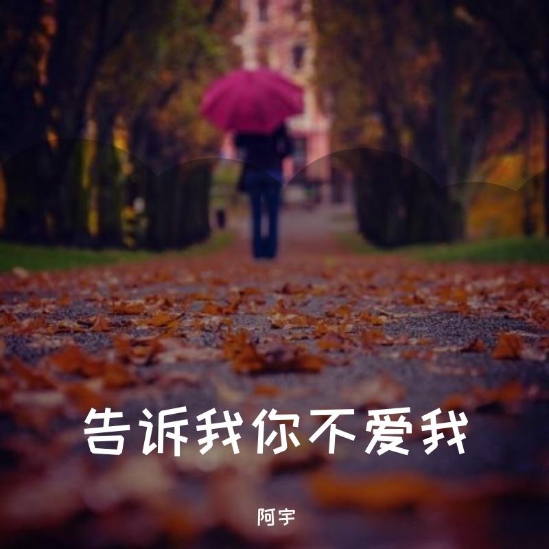 告诉我你不爱我封面