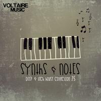 Synths and Notes 25