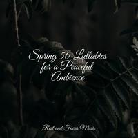 Spring 50 Lullabies for a Peaceful Ambience