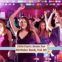 EDM Party Beats For Birthday Bash, Vol. 03