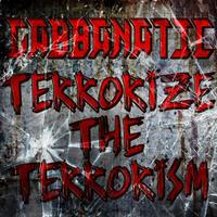 Terrorize the Terrorism