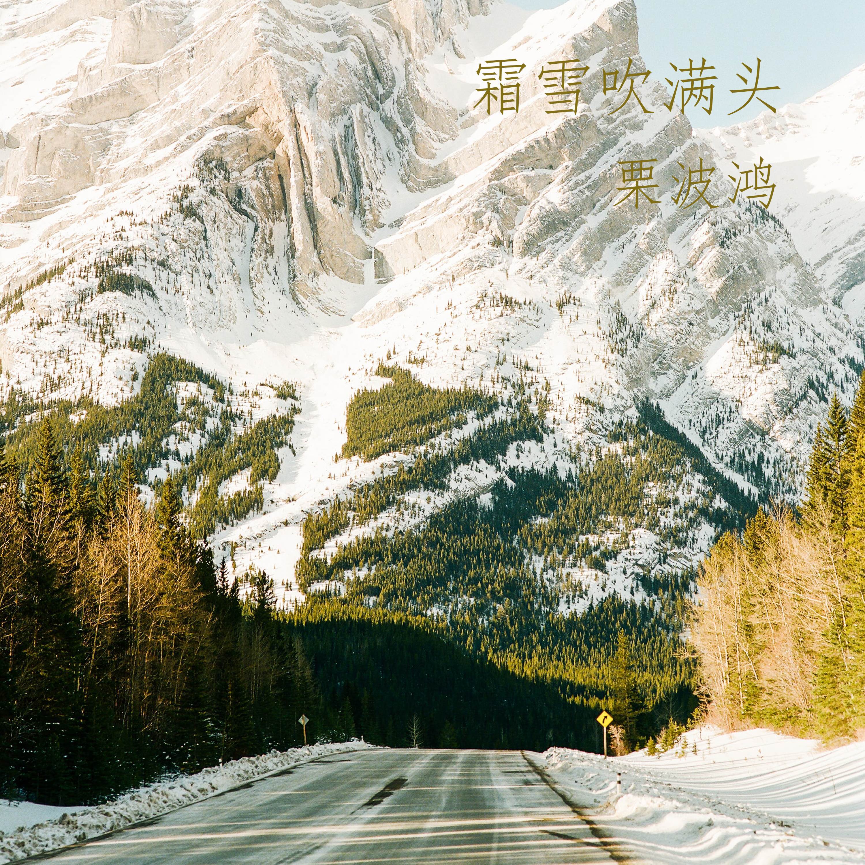 明月星辰封面