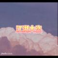 脸孔 (欣赏版)封面