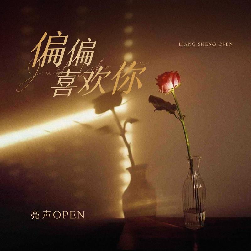 偏偏喜欢你封面