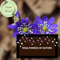 Wealthiness of Nature