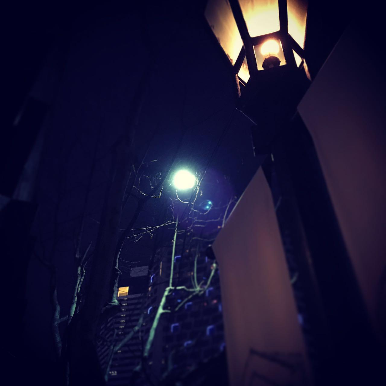 最后,用一张夜空和路灯的合照,当成是我无言的告别.