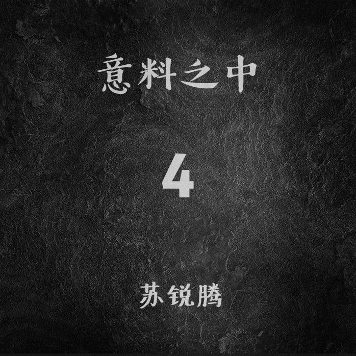 意料之中封面