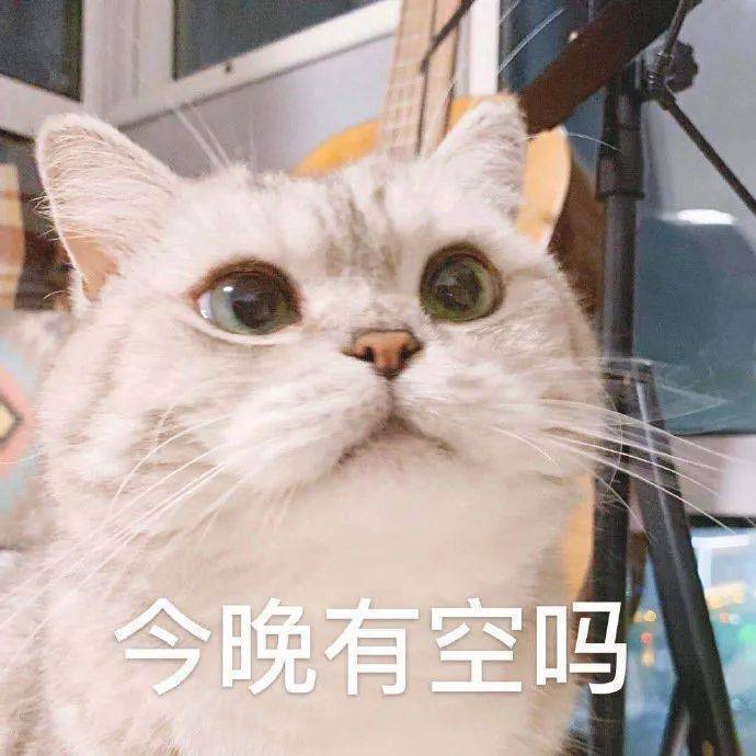 一样的月光_阿毓_魚魚的夜晚 | 在线播放_一样的月光歌词_一样的月光下载 | 网易云音乐