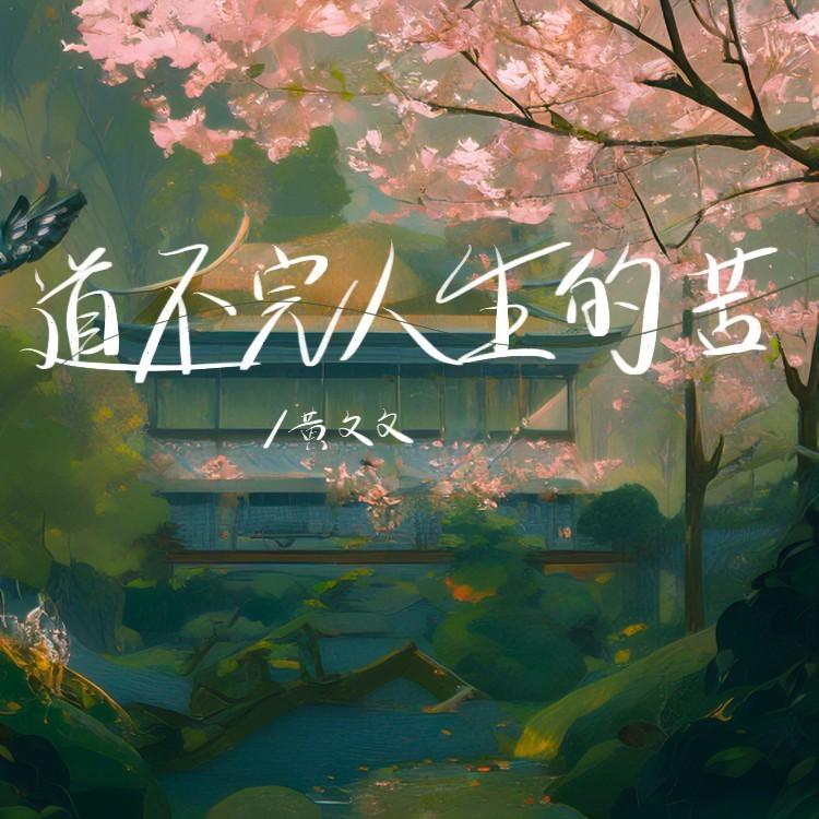 道不完人生的苦 (伴奏) - 黄文文封面