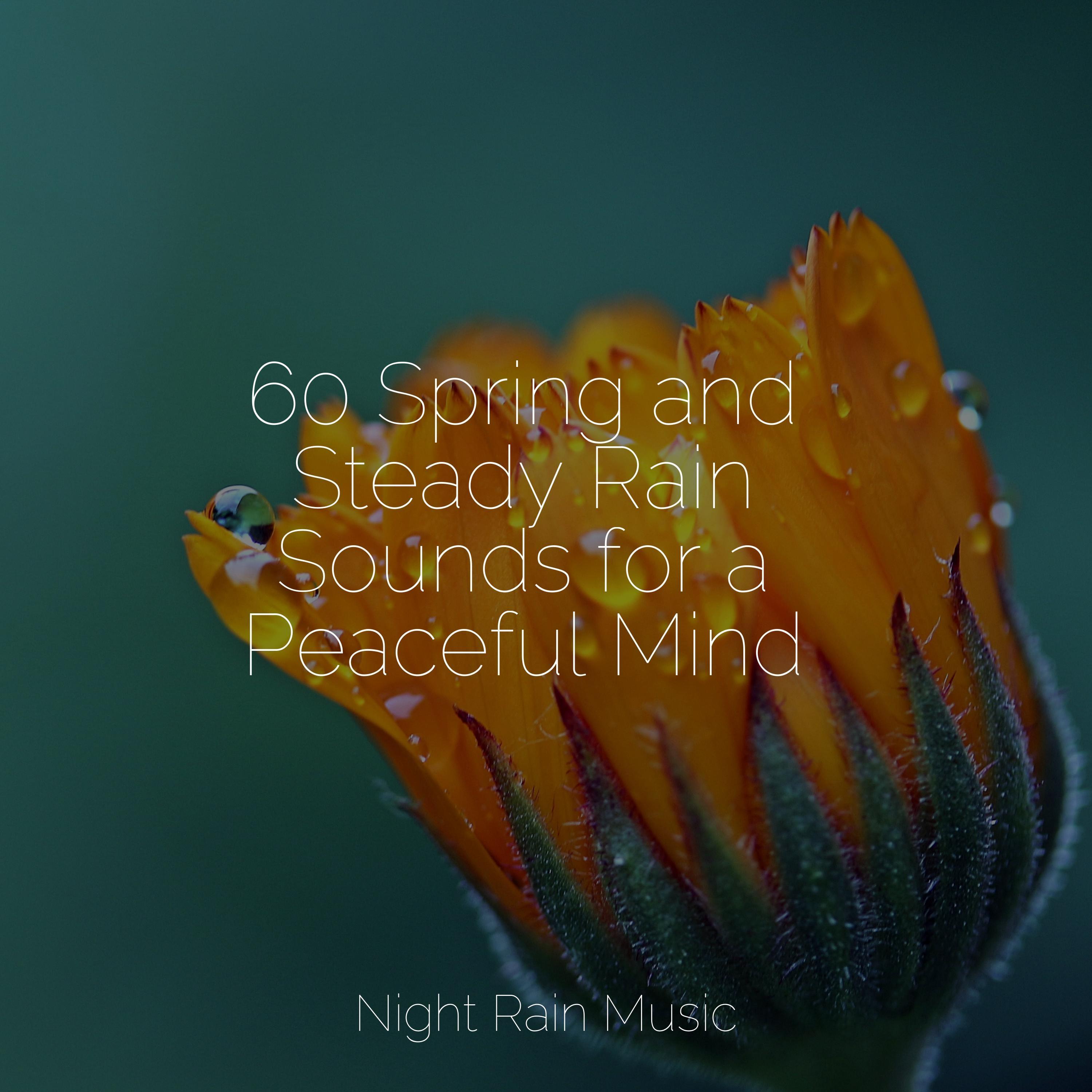 Meditation Healing Music Youtube - l55rtoy