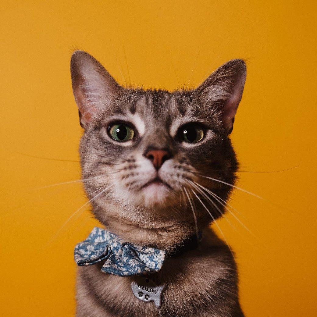 刘斯特洛夫斯基-一万懦夫