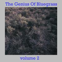 The Genius Of Bluegrass - Vol 2