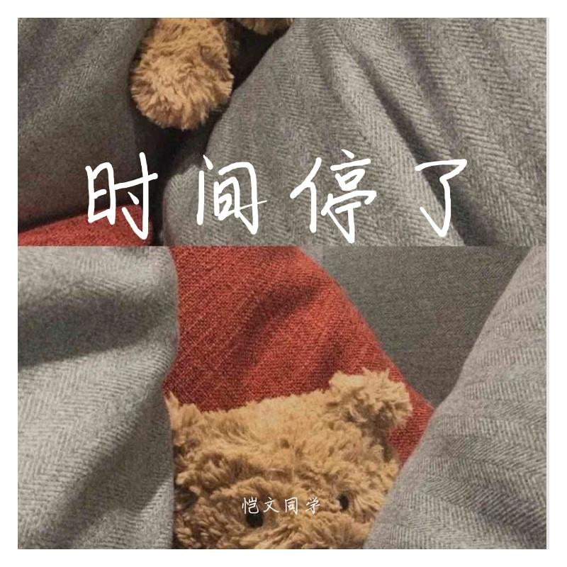 时间停了封面