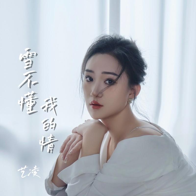 雪不懂我的情 (DJ 慢摇版)封面