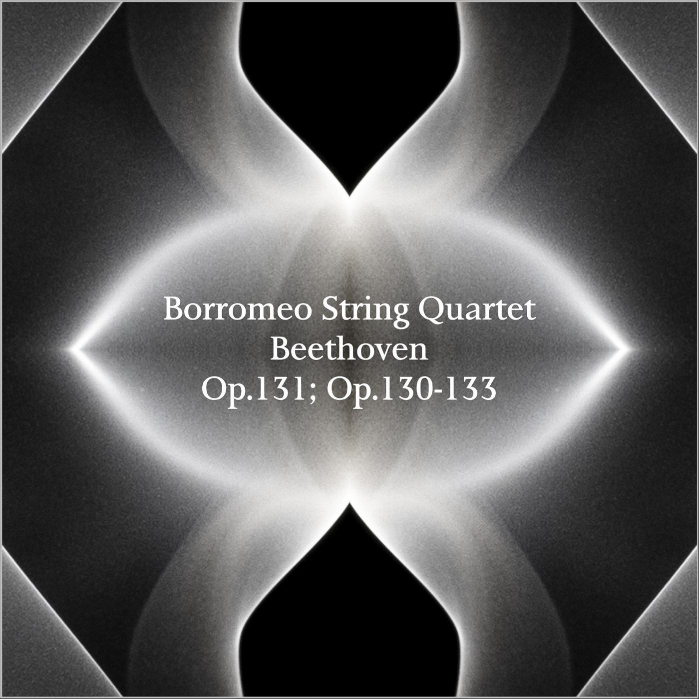 String Quartet No. 14 in C-Sharp Minor, Op. 131: IV. Andante ma non troppo e molto cantabile