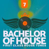 Bachelor of House, Vol. 7