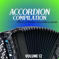 Accordion compilation vol. 12 (Best of italian accordion music) (82 brani fisa)