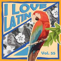 I Love Latin, Vol. 55