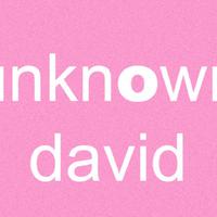 unknown david