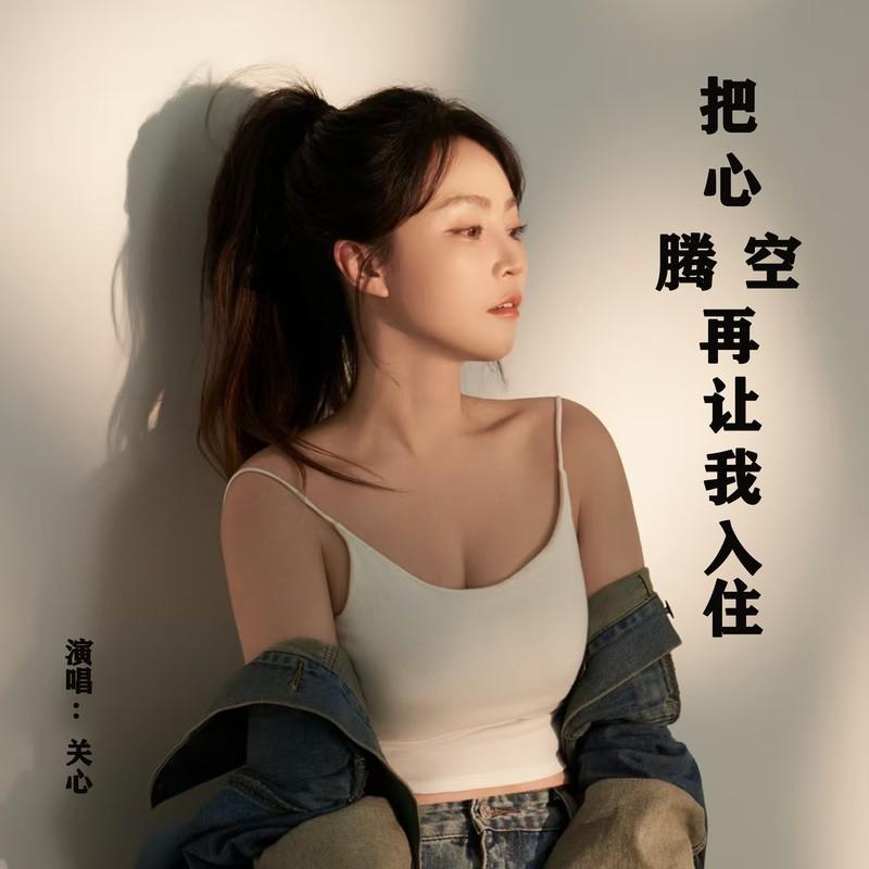 把心腾空再让我入住 (DJ九零版) - 关心封面