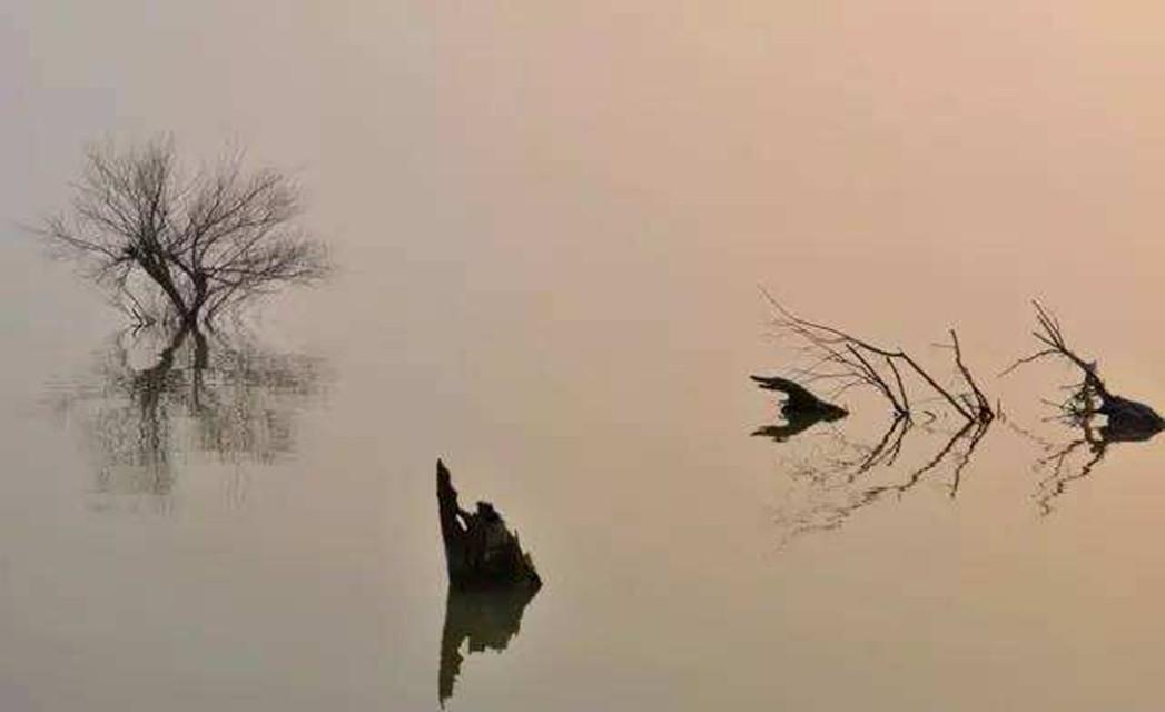 【FREE BEAT】戒严(prod.Young Hitz&Trippinz)