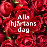 Alla hjärtans dag