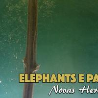 Elephants E Paw