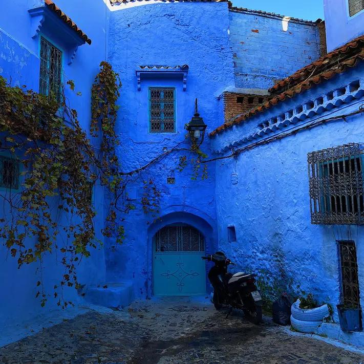 INFJ｜安静 独处 静谧 治愈 艺术家