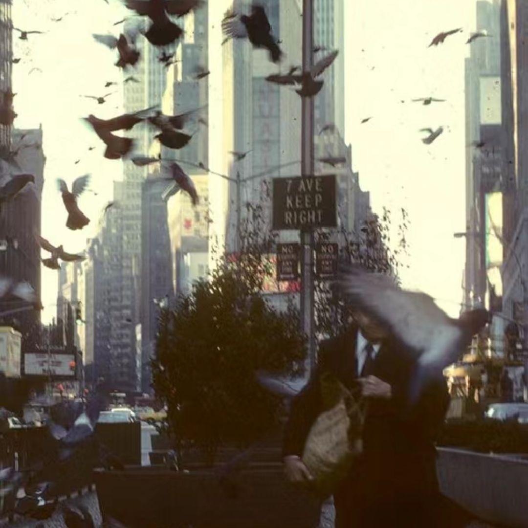 Ethereal(原唱txmy)