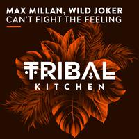 Can't Fight the Feeling (Original Mix)