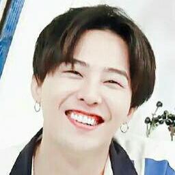 学习学习再学习的安妮酒