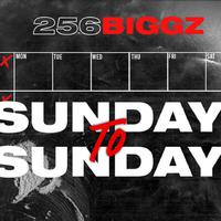256 Biggz