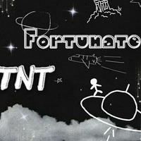 Fortunate·TNT