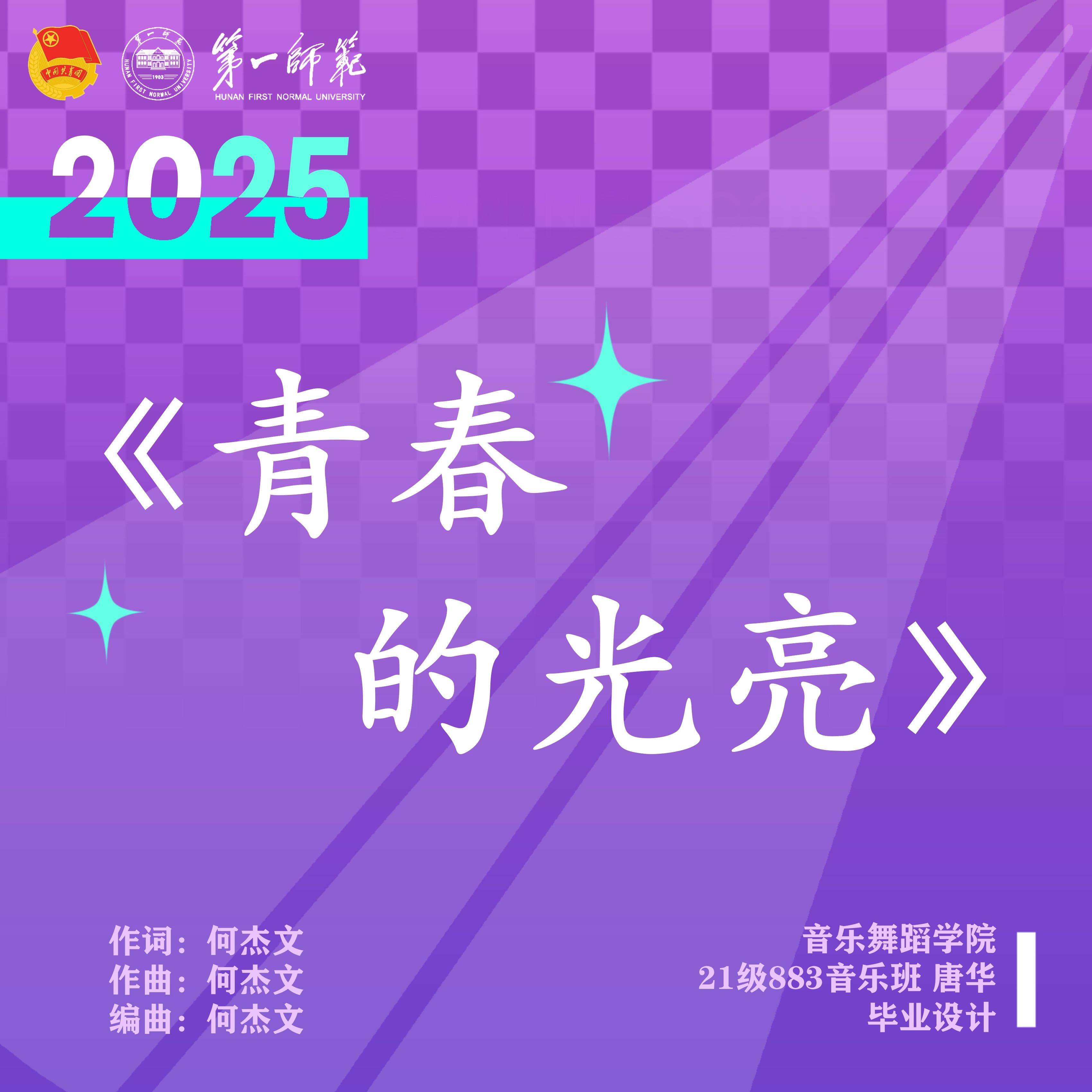 青春的光亮封面