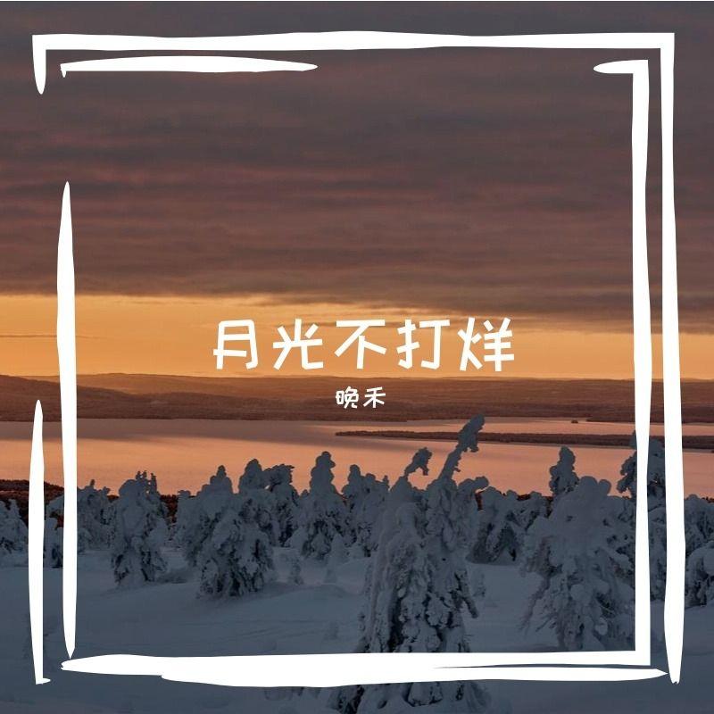 《流浪猫的日记》 - 晚禾封面