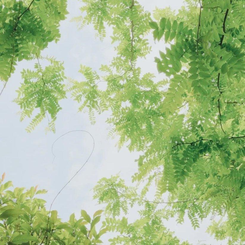 夏日清风一缕过