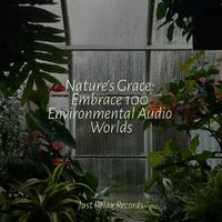 Nature's Grace: Embrace 100 Environmental Audio Worlds