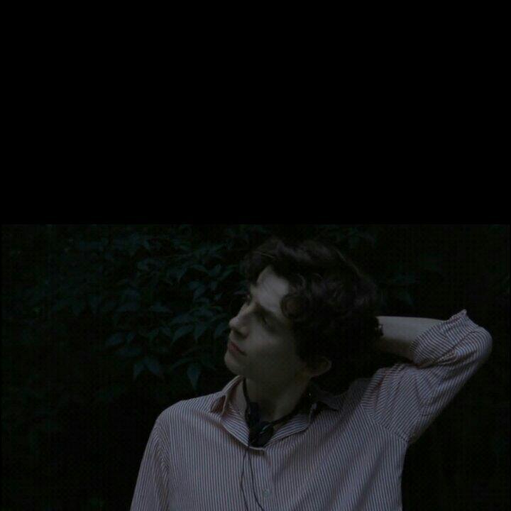 Erik Satie | 被密林温和握住